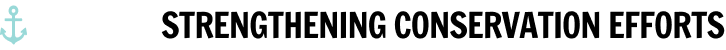 Group 16